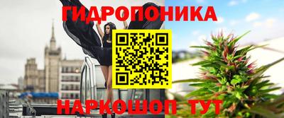 мдпв Янаул