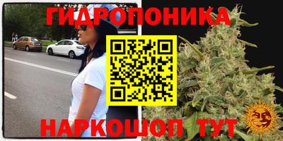 мдпв Янаул