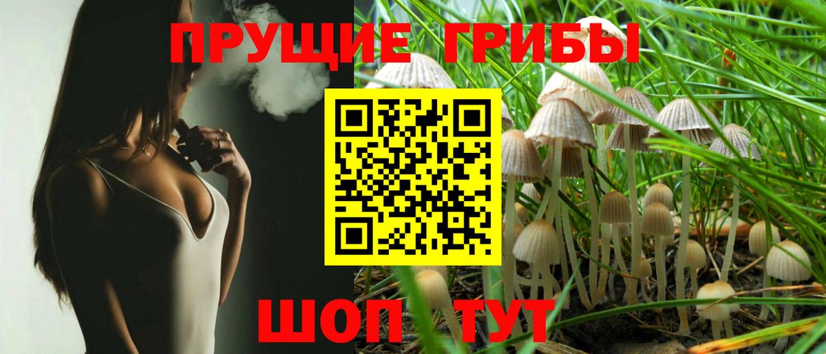 Галлюциногенные грибы Cubensis Богданович