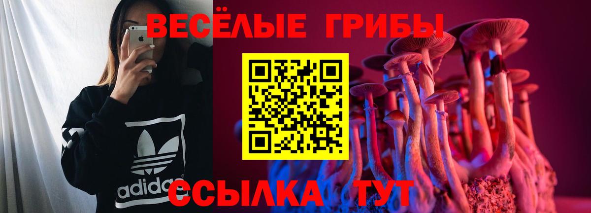 Псилоцибиновые грибы Cubensis  Вход с VPN  Богданович  Псилоцибиновые грибы MAGIC MUSHROOMS 